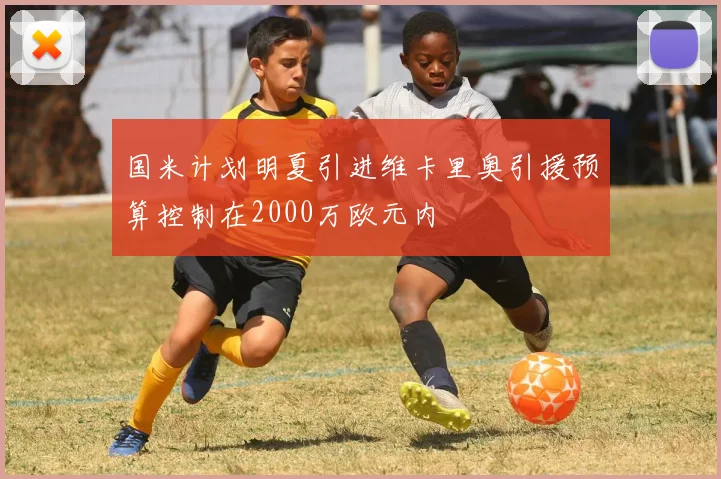 国米计划明夏引进维卡里奥引援预算控制在2000万欧元内
