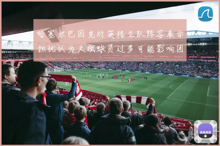 哈塞尔巴因克对英格兰队阵容表示担忧认为天赋球员过多可能影响团队合作