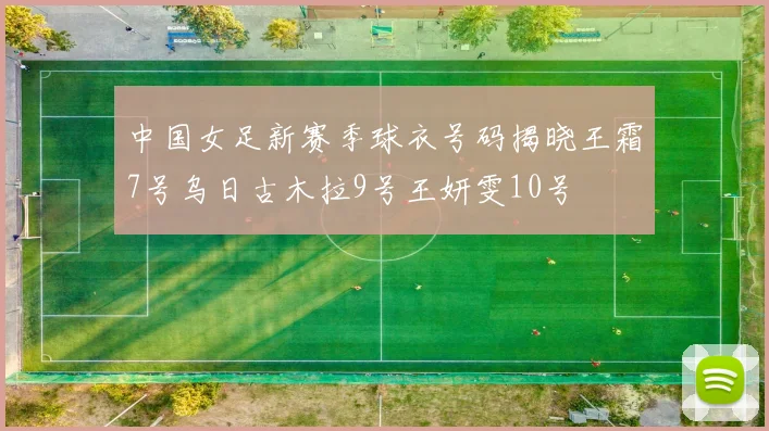 中国女足新赛季球衣号码揭晓王霜7号乌日古木拉9号王妍雯10号