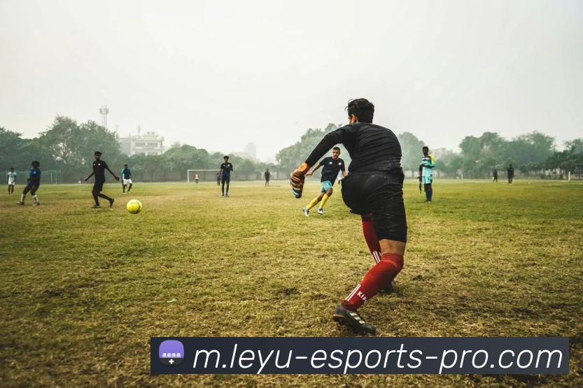 App Interface Preview