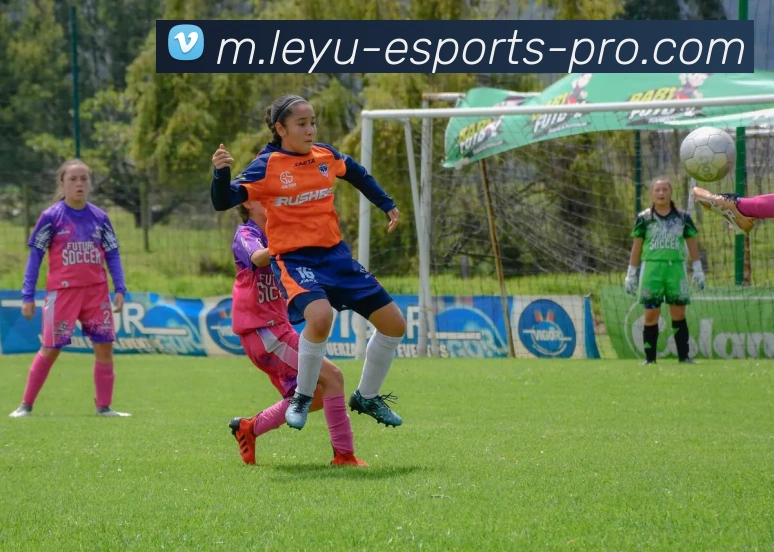 乐鱼体育APP 封面图